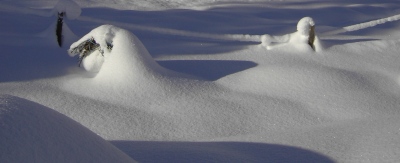 Glitzernde Winterlandschaft am Ployergut in Kleinarl